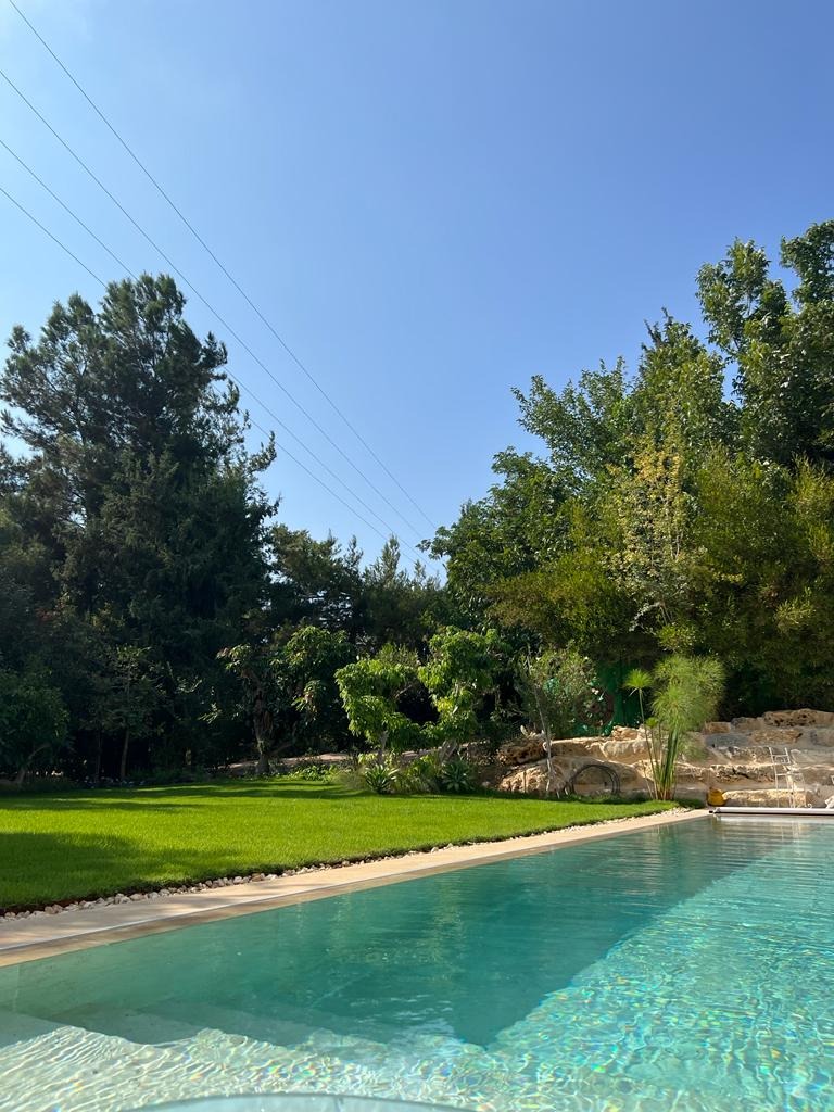 פרוייקט במודיעין